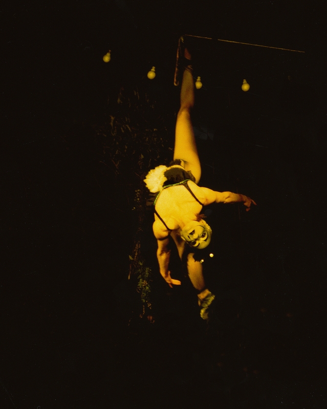 Rhona Bitner (née en 1960), 94125FL, de la série Circus, 1994. Cibachrome sur aluminium. Paris, Fondation Neuflize Vie pour la photographie contemporaine, banque Neuflize OBC 94125FL © Rhona Bitner.