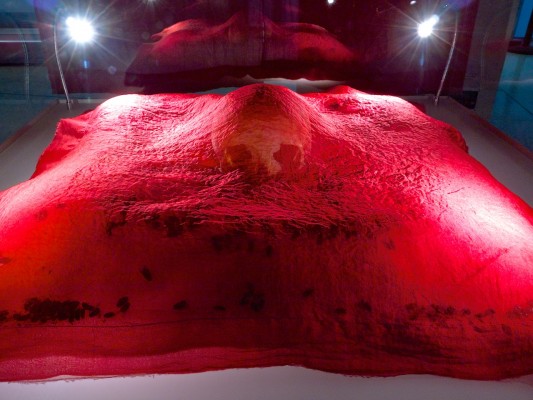 Erik Nussbicker, Le « D » de Desdémone, 2015, Soie rouge ; Mouches ; Crâne humain ;  Vitrine ;  tiges en fibres de carbone - 270 x 270 x 320 cm. http://www.eriknussbicker.com.