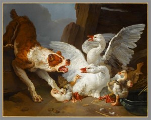 Huet Jean-Baptiste, Un dogue se jetant sur des oies, vers 1768-1769, huile sur toile, Paris, musée du Louvre, département des Peintures © RMN-Grand Palais (musée du Louvre) / Stéphane Maréchalle