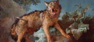 Un loup percé D'une lance, 1771, © David Rase. 